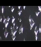 spotlight_30_flv0081.jpg